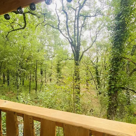 Dans Les Bois شاليه *