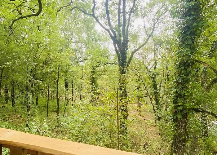 Dans Les Bois Alpehytte *