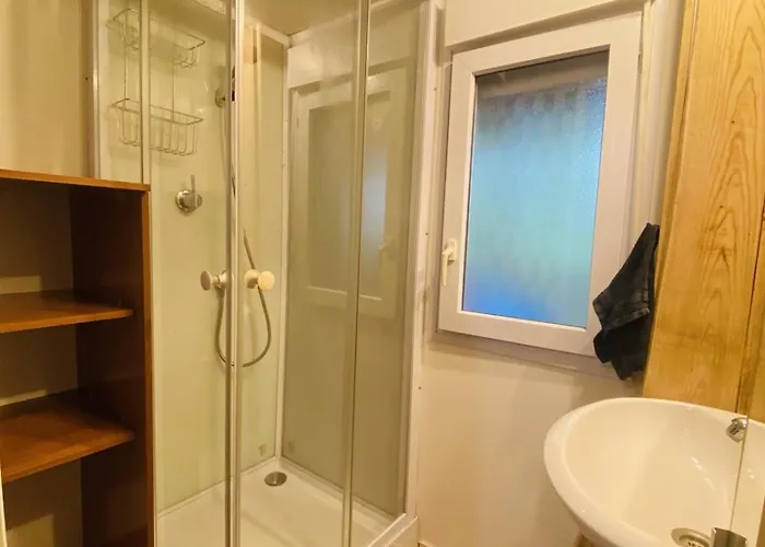 Alpehytte Dans Les Bois